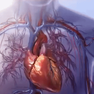 Die versteckten Kosten des modernen Lebens